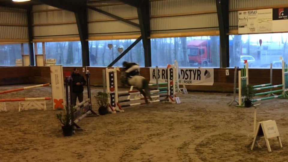 Anden særlig race Wupti billede 3