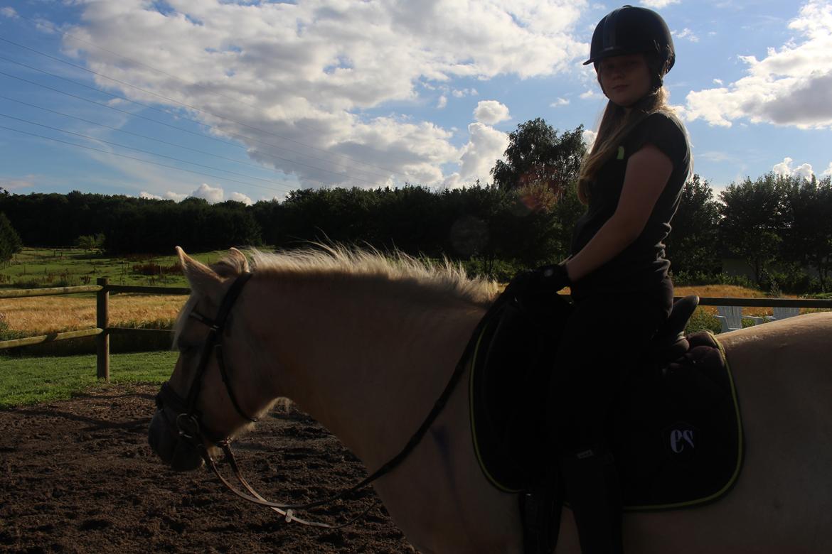 Fjordhest Lotte - Lotte og jeg en varm sommerdag :) billede 18