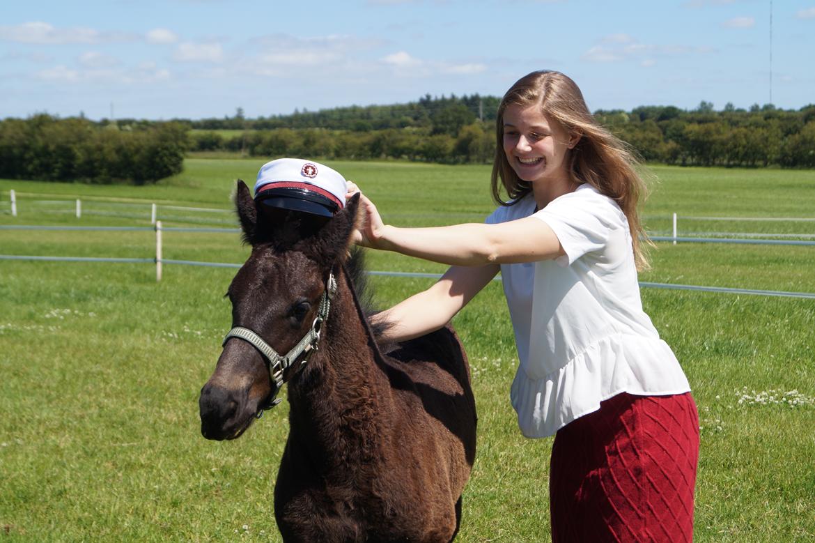 Frieser Dancing Queen  (Liske) billede 2