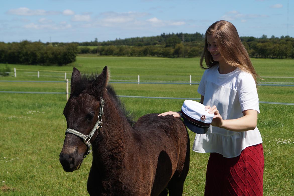 Frieser Dancing Queen  (Liske) billede 9