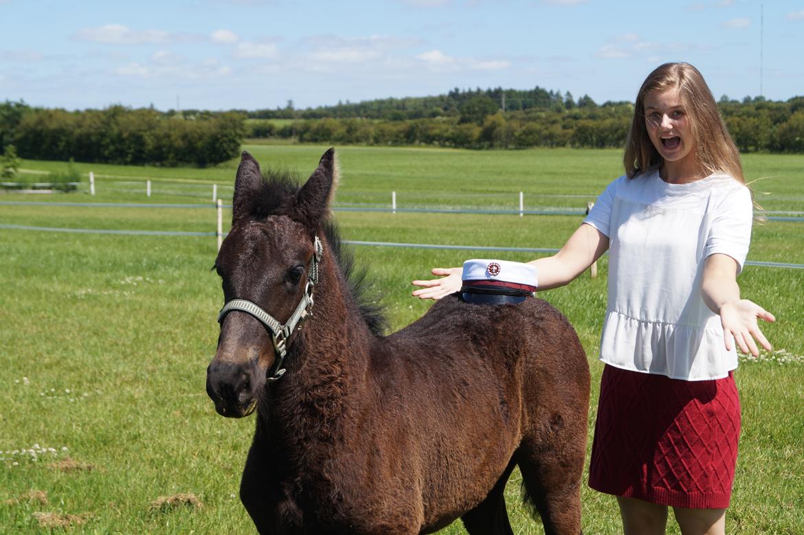Frieser Dancing Queen  (Liske) billede 10