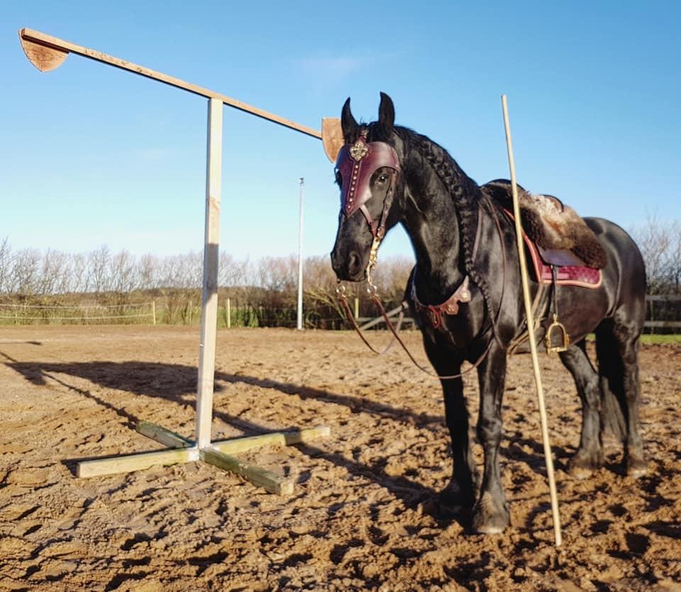 Frieser Migu van Årupgård - 30. december 2018... Warhorse træning ... Fotograf: Mobilfoto billede 12