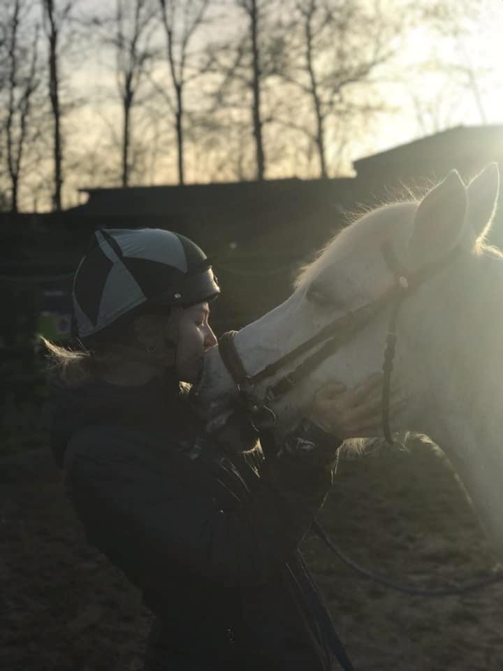 Anden særlig race Tequila billede 14