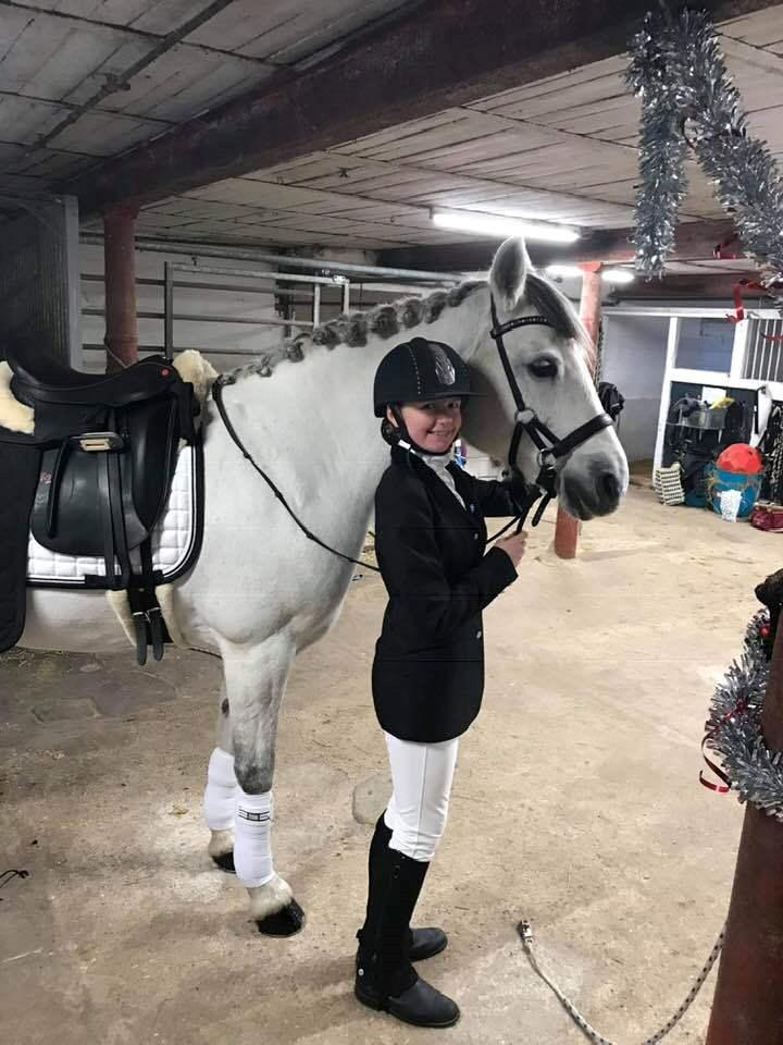 Connemara Hedegårdens Isabella billede 5