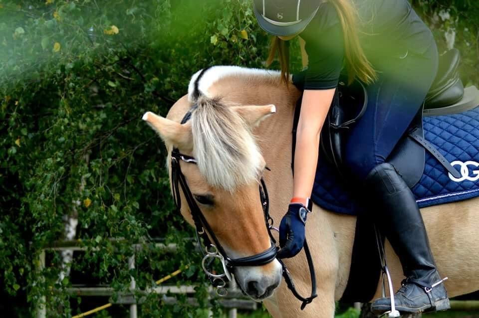 Fjordhest Liva af kisny     [Tideligee part] billede 7