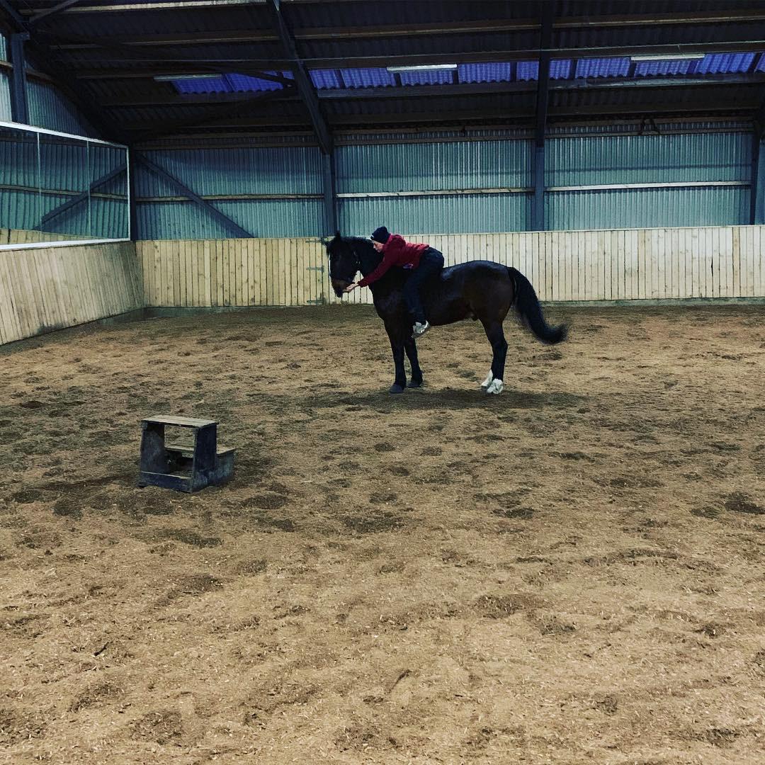 Anden særlig race Bølle. billede 11