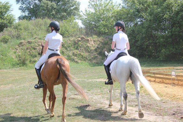 Tysk Sportspony Cognac - Cognac og mig, med en nogle af vores rigtig gode venner, Kristine og Mikado billede 4