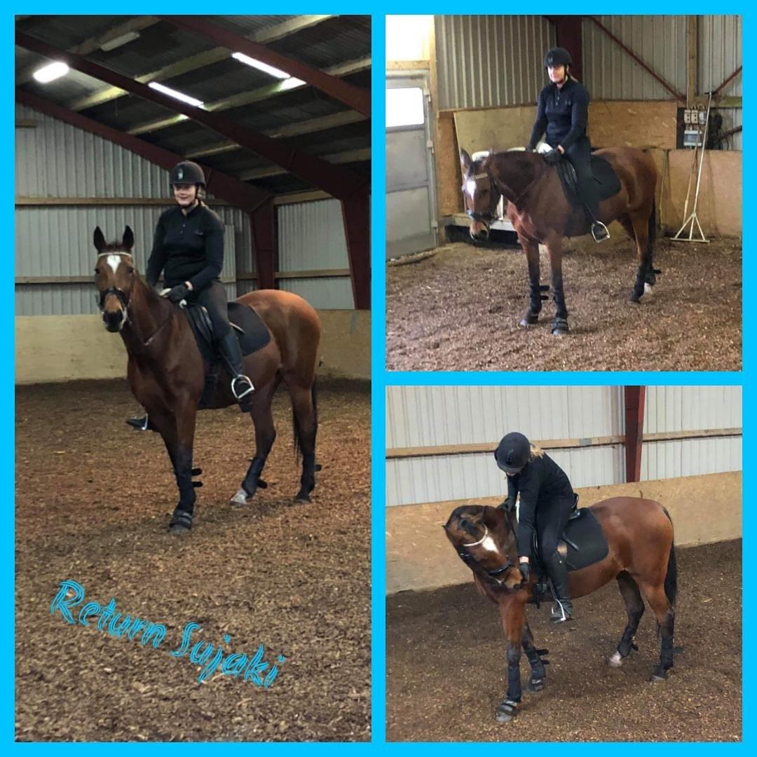 Traver Return Sujaki - Baby billede 19