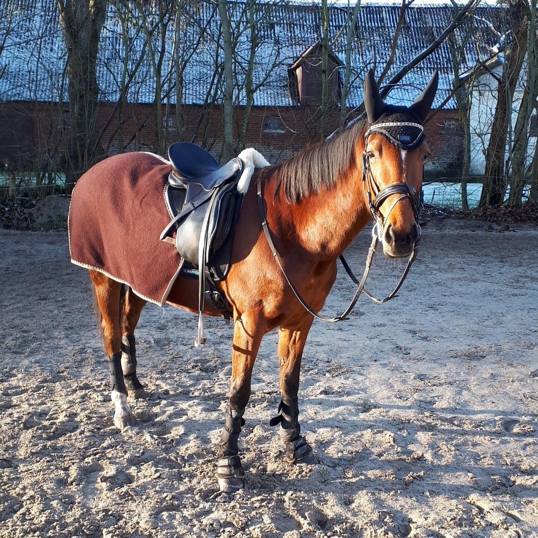 Traver Return Sujaki - Baby billede 20