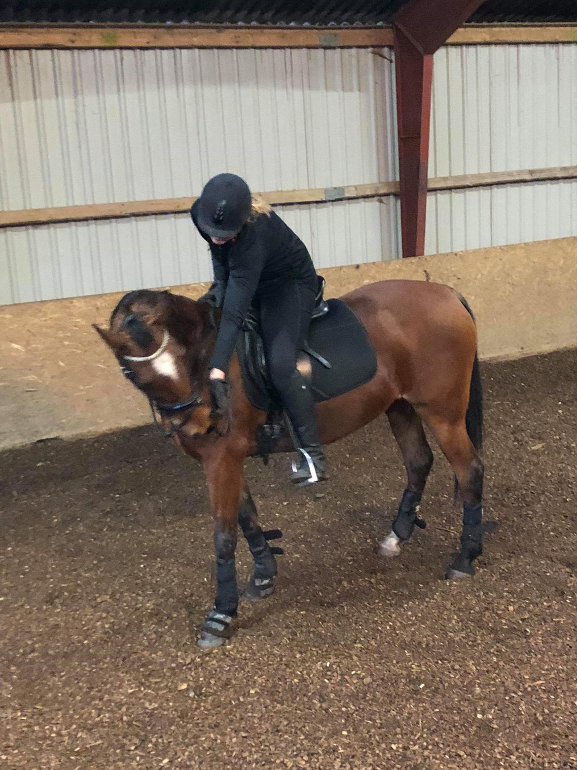 Traver Return Sujaki - Baby billede 5