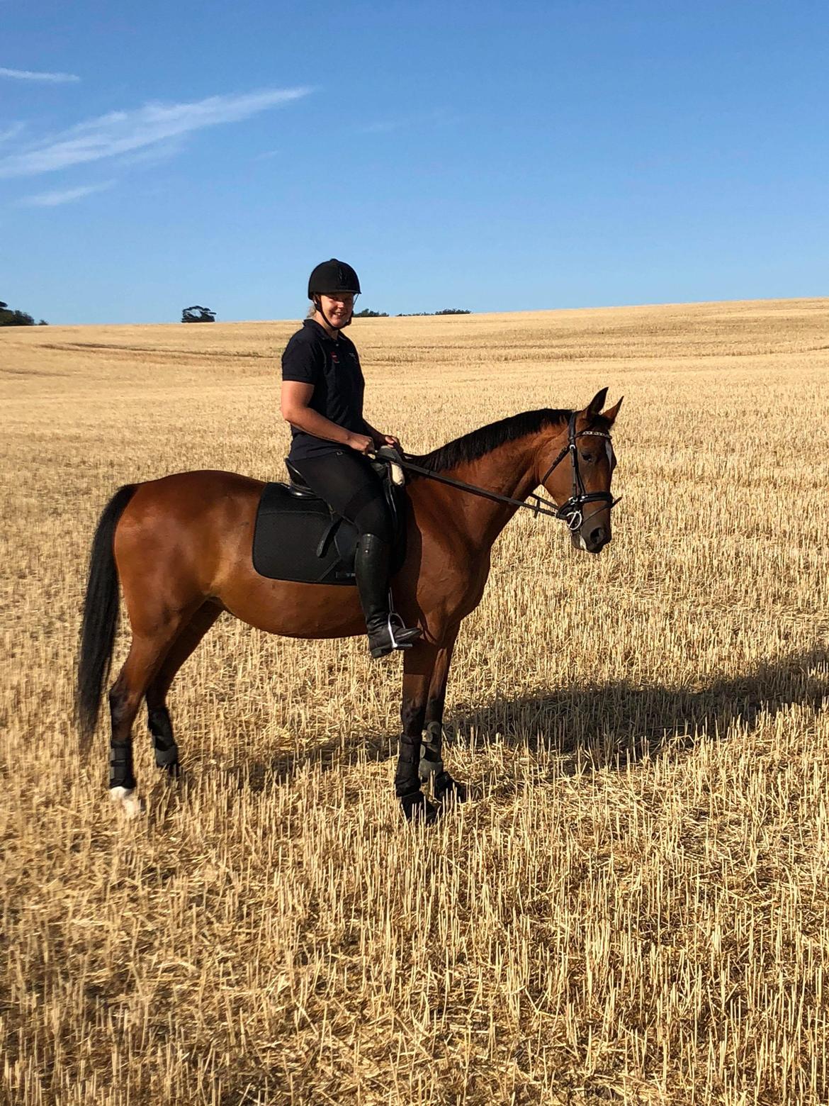 Traver Return Sujaki - Baby billede 4