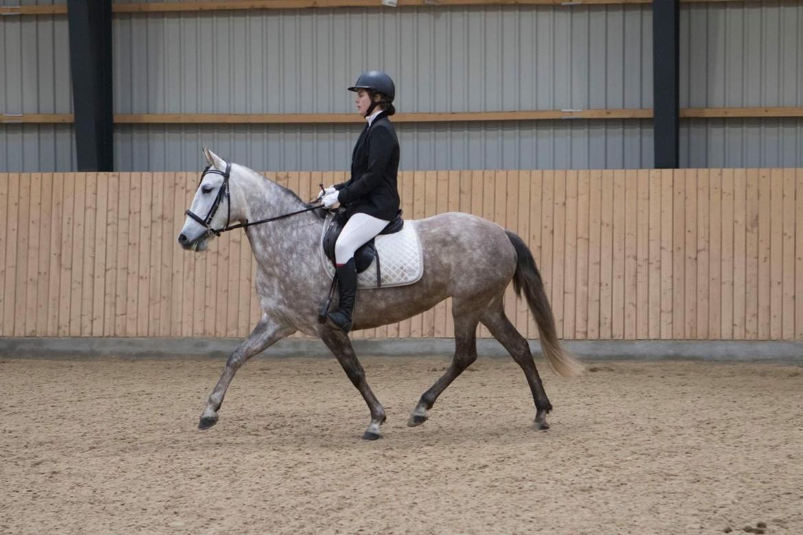 Pura Raza Española Tu Buena billede 1