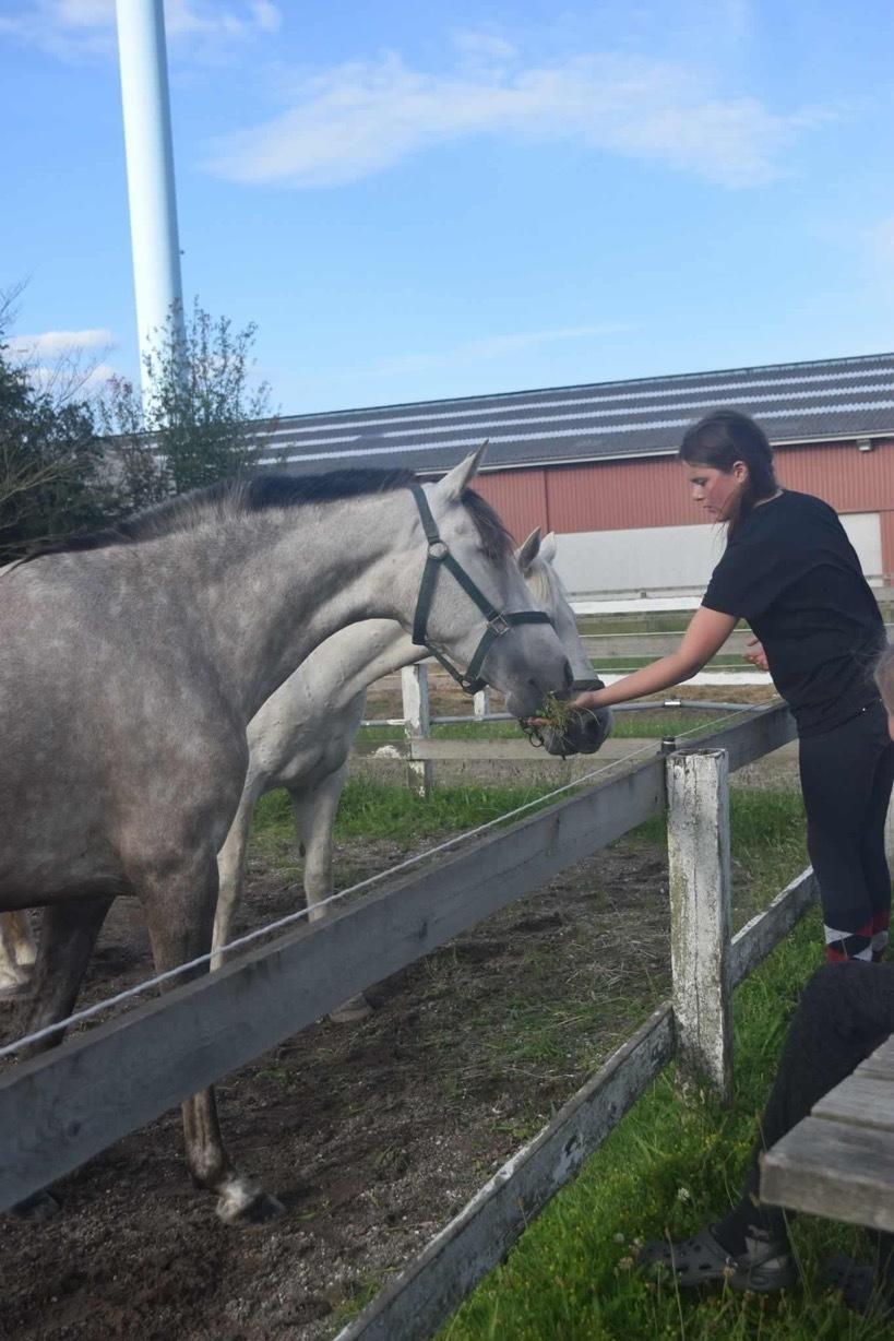 Pura Raza Española Tu Buena billede 6