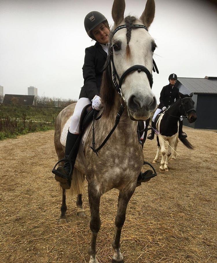 Pura Raza Española Tu Buena billede 7