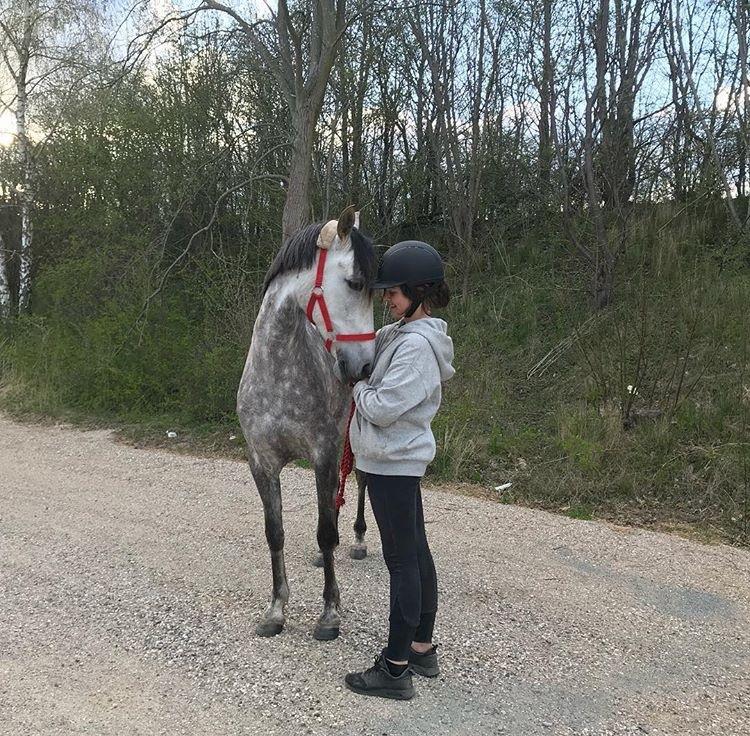 Pura Raza Española Tu Buena billede 9