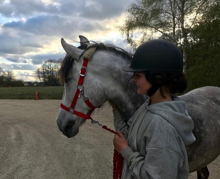 Pura Raza Española Tu Buena billede 10