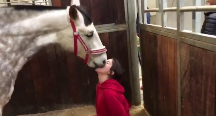 Pura Raza Española Tu Buena billede 13