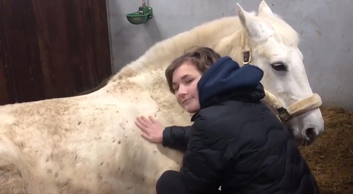 Connemara Kyra billede 3