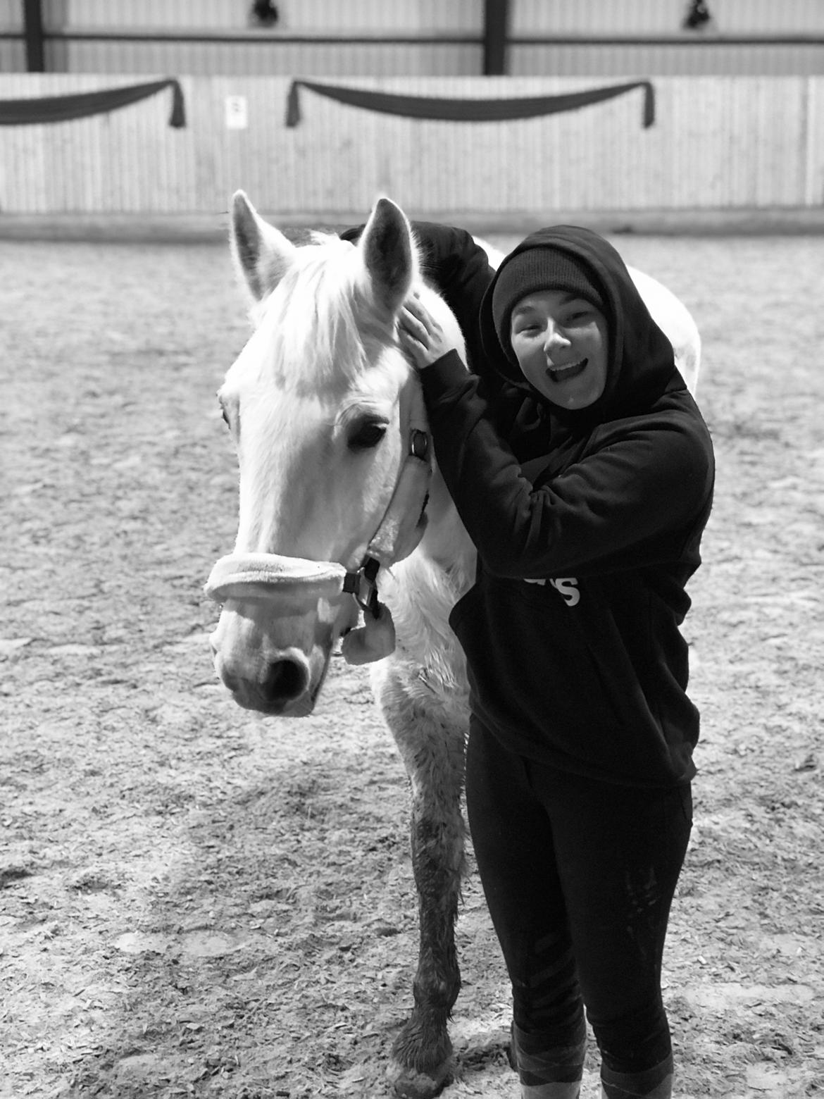 Connemara Kyra billede 6