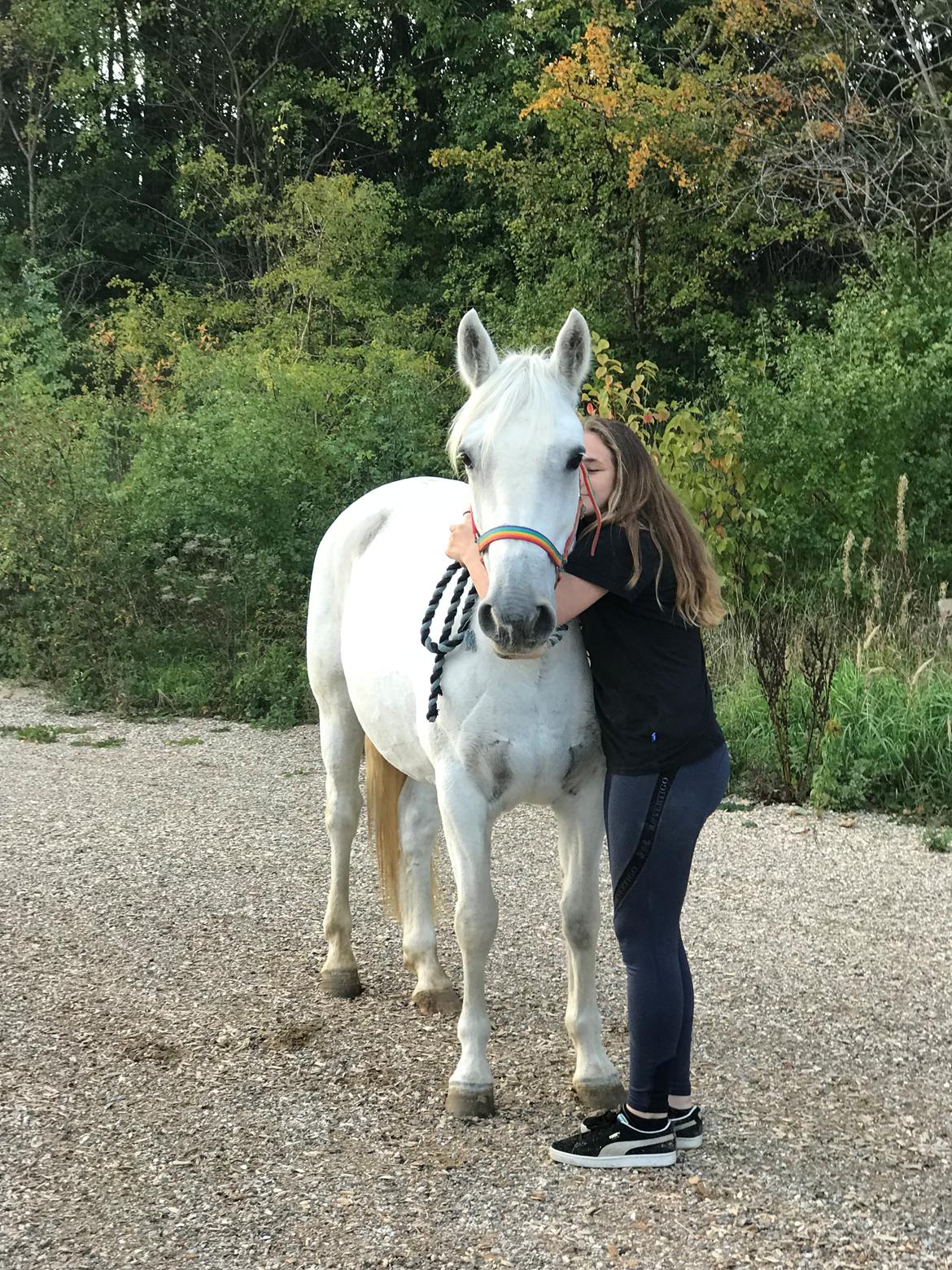 Connemara Kyra billede 9