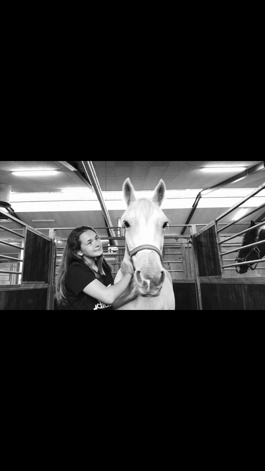 Connemara Kyra billede 12