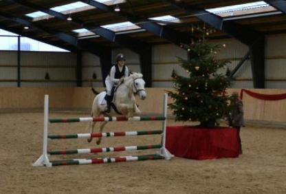 Connemara Kyra billede 14