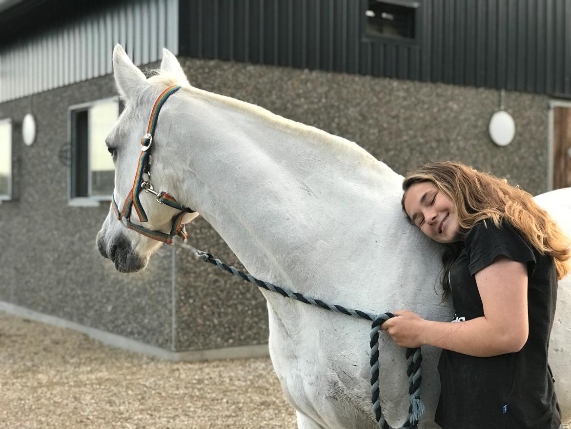 Connemara Kyra billede 10