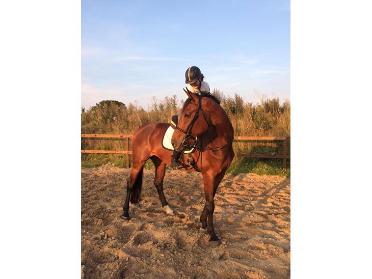 {{currentPhoto.altText}} billede {{currentPhoto.number}}