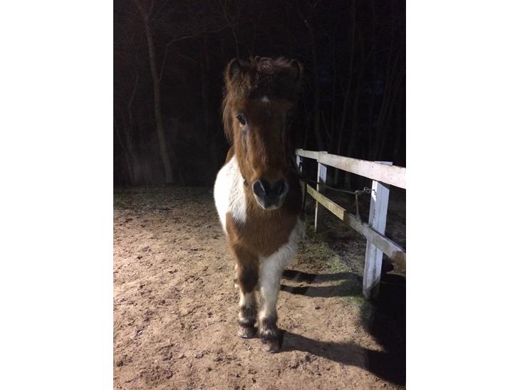 {{currentPhoto.altText}} billede {{currentPhoto.number}}