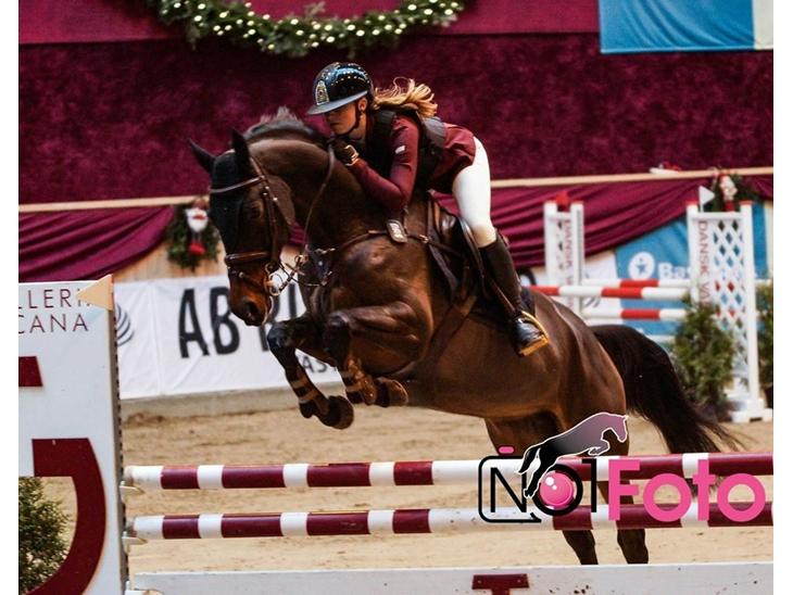 {{currentPhoto.altText}} billede {{currentPhoto.number}}