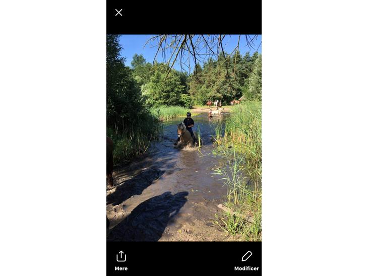 {{currentPhoto.altText}} billede {{currentPhoto.number}}