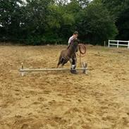 Islænder isak fra lambæk