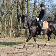 Oldenborg Bolero