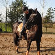 Oldenborg Bolero