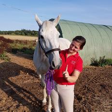 Dansk Varmblod MR. Soru