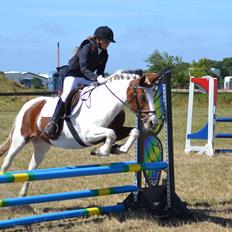 Anden særlig race Susan. (SAVNES!!!)