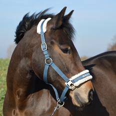 New Forest Birkilds Moreno