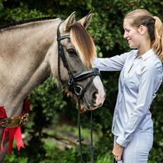 Irish Cob Crossbreed Fiona Filina •Bæstet• [Egen hest]