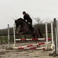 Anden særlig race Storm