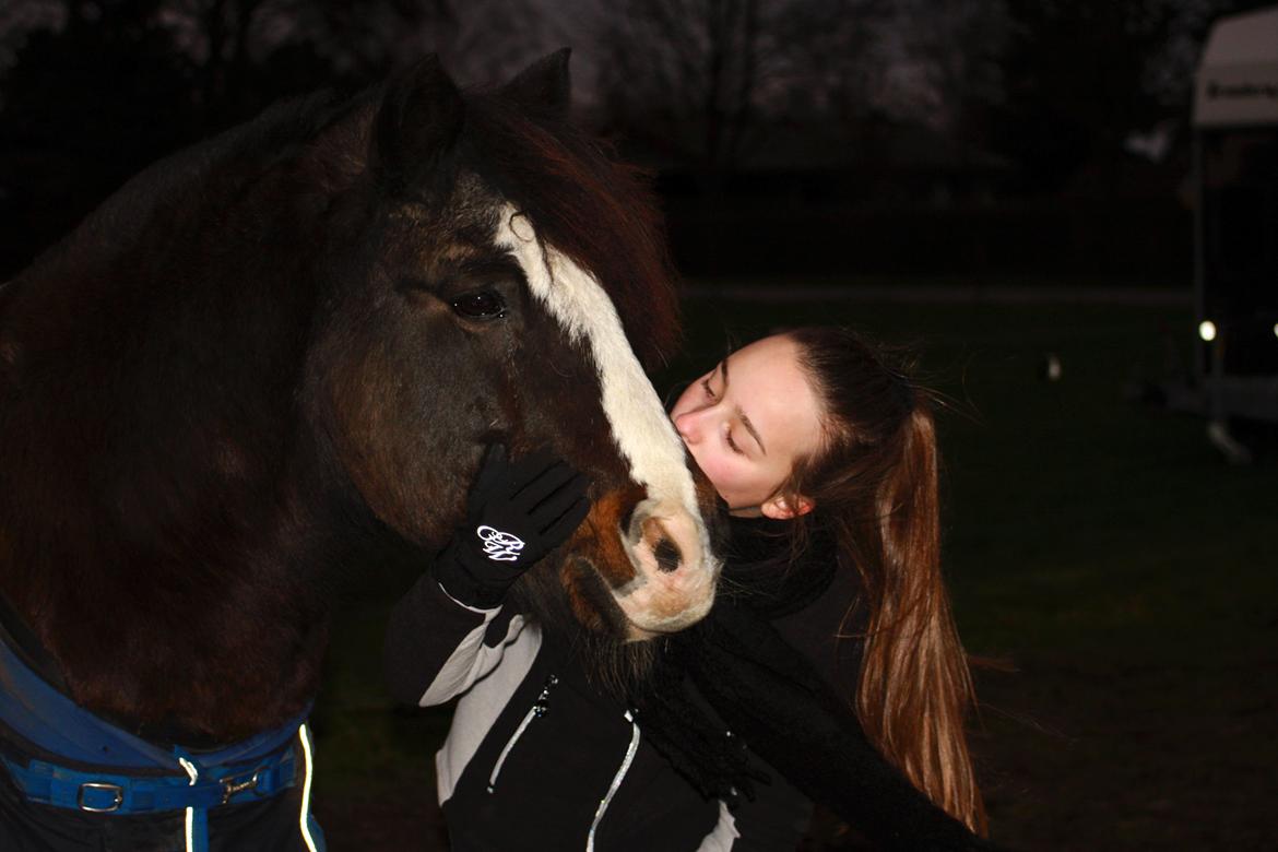 New Forest Stegstedgårds Zimba billede 1