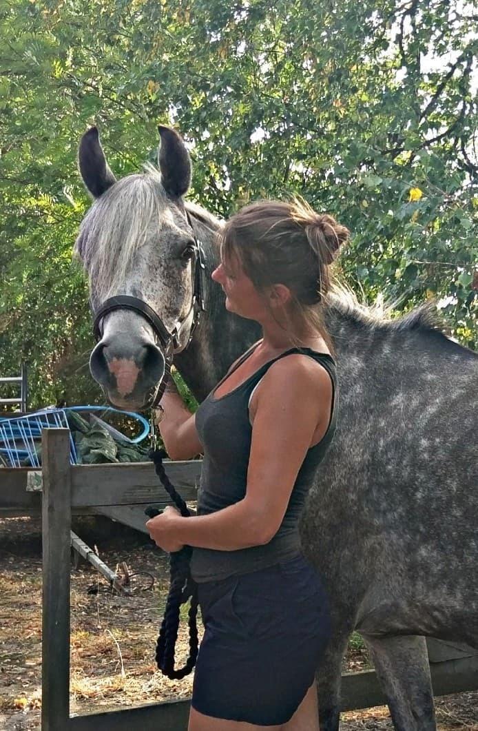 Arabisk fuldblod (OX) Majeed ibn Mutazz (Marley)  billede 6