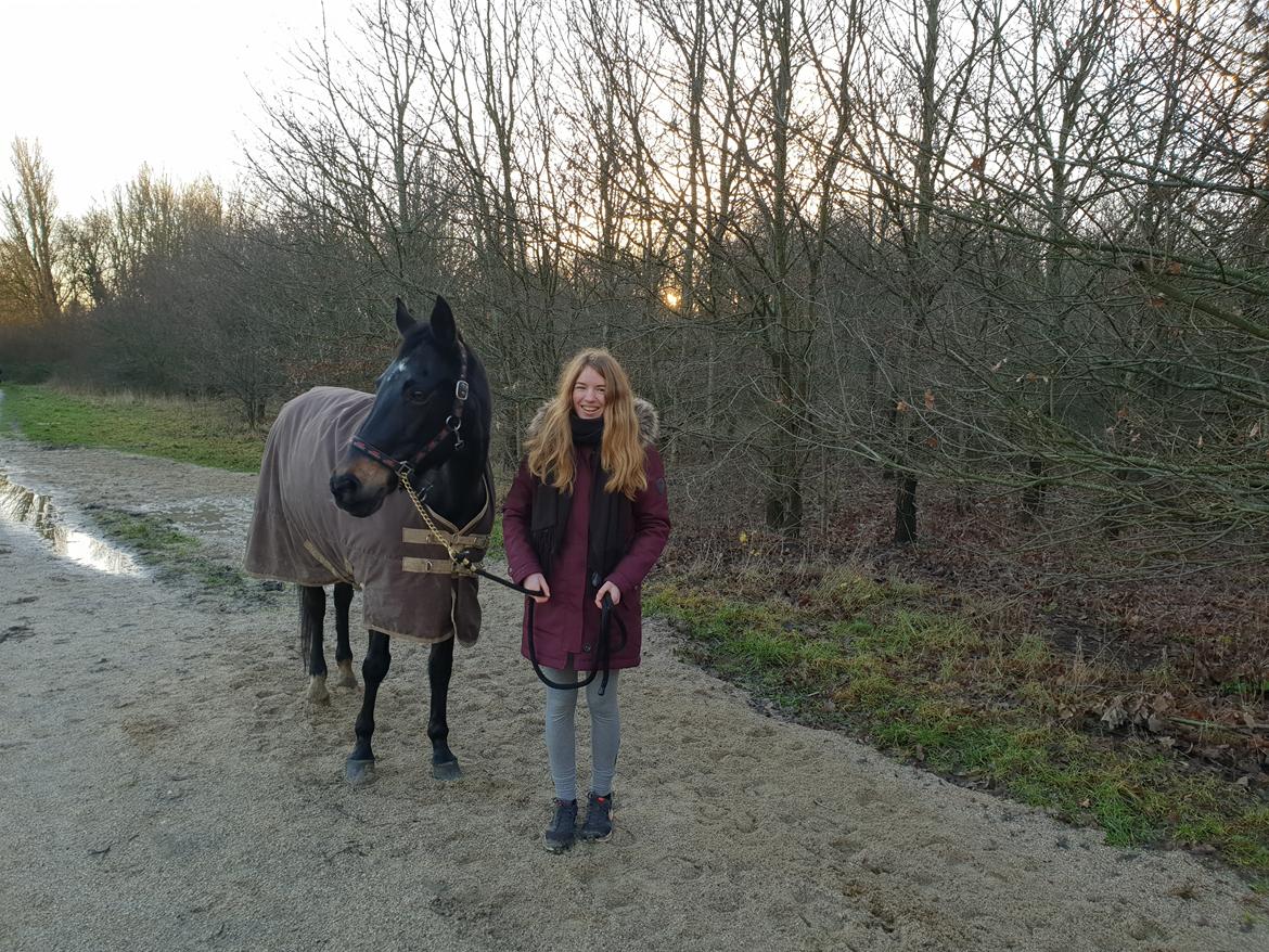 Tysk Sportspony | Etna | *Lille Pigen* |  billede 26