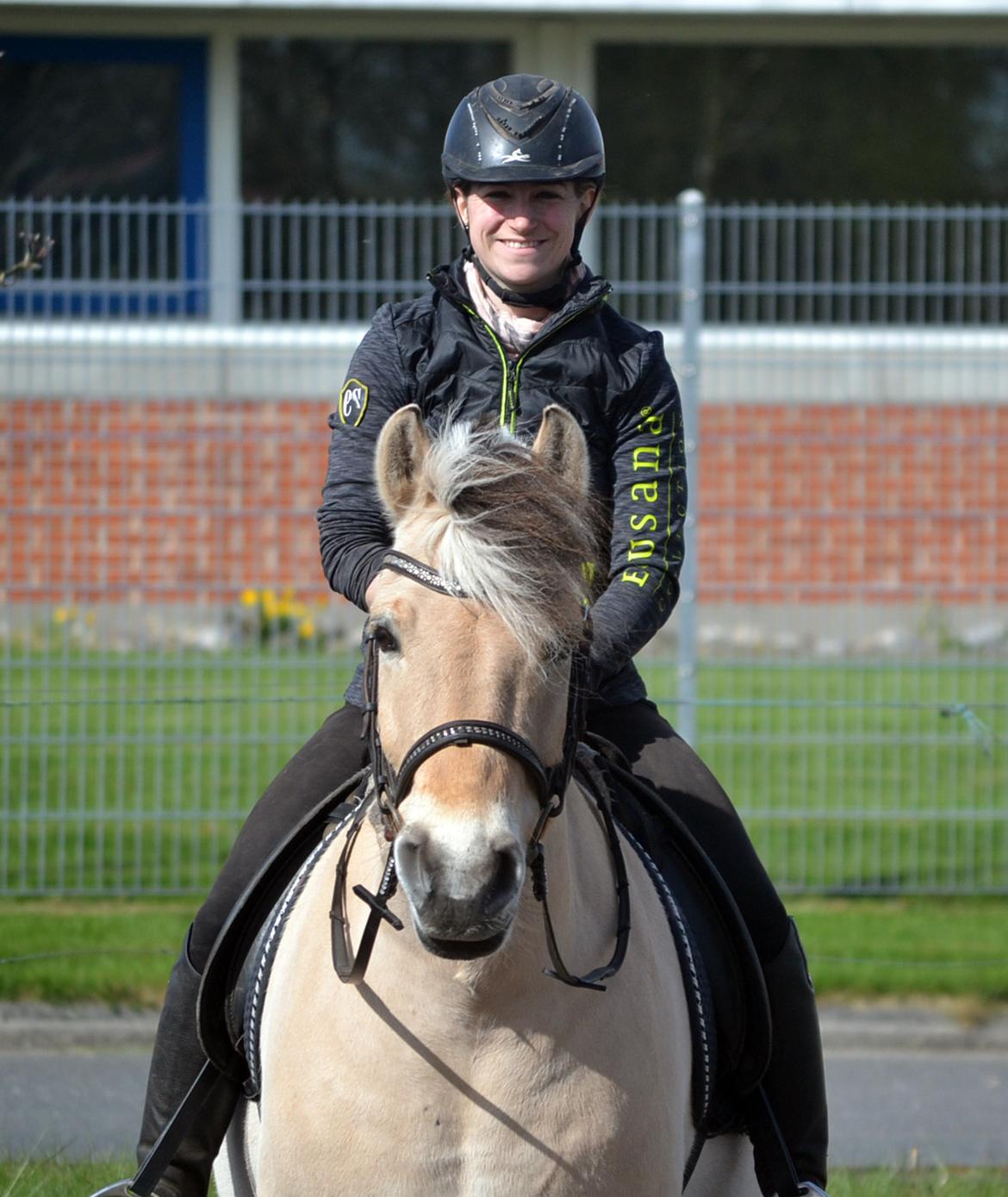 Fjordhest Staale granlygaard - SOLGT - D. 27/4-2018 billede 20