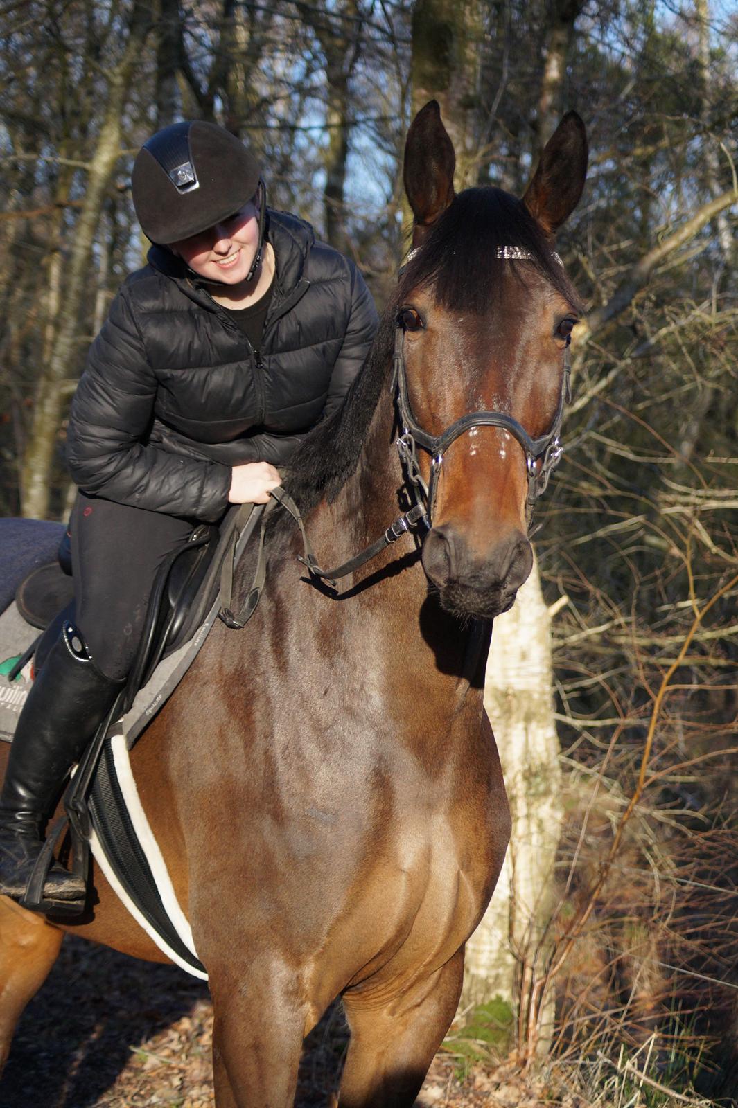 Oldenborg Cornett  billede 41