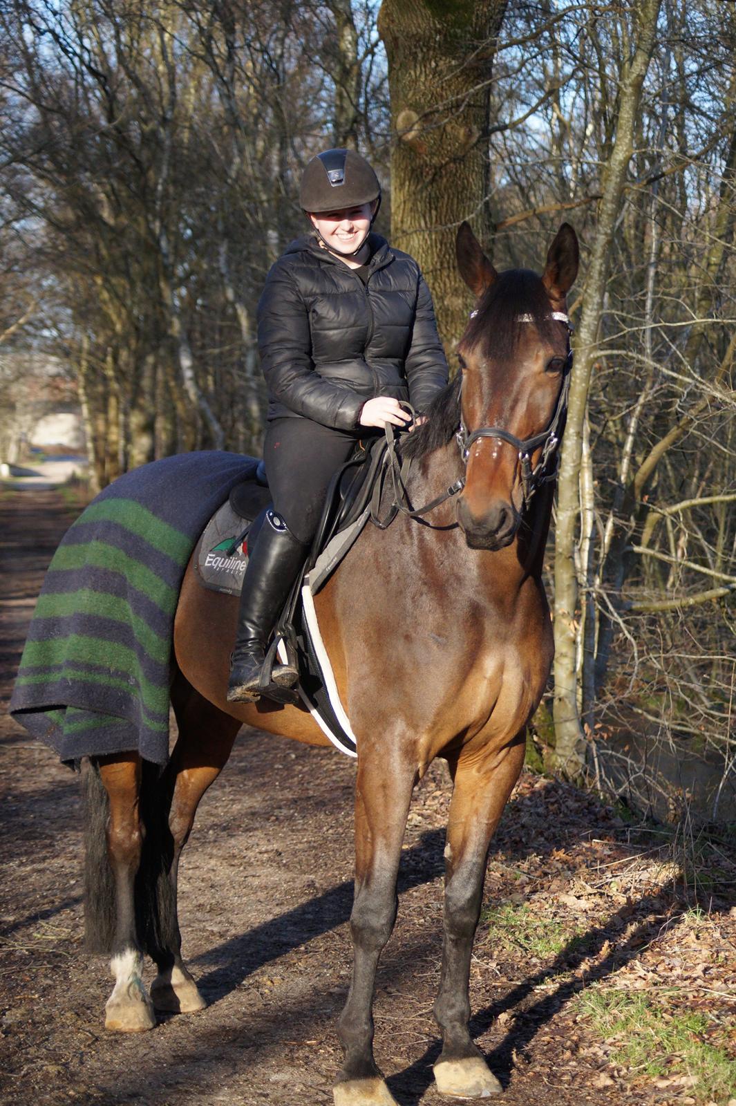 Oldenborg Cornett  billede 43