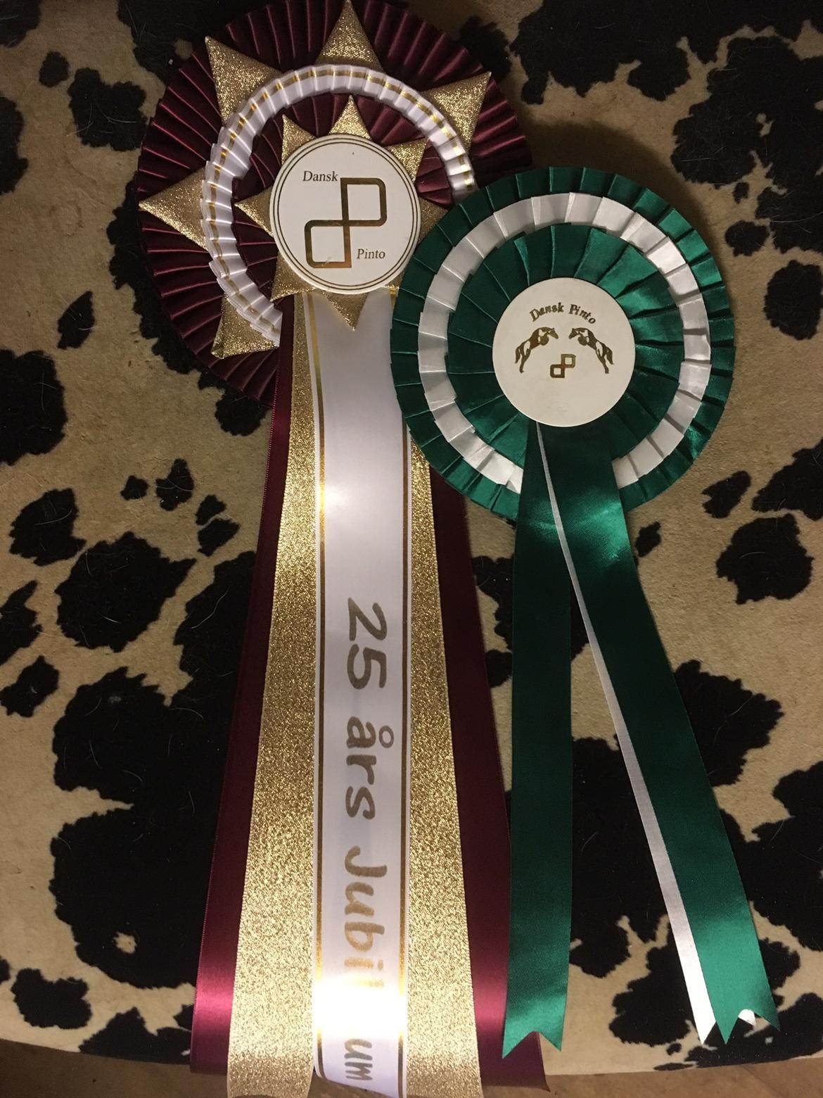 Pinto Bayleigh billede 9