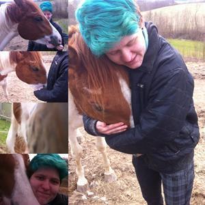 Pinto Bayleigh billede 16