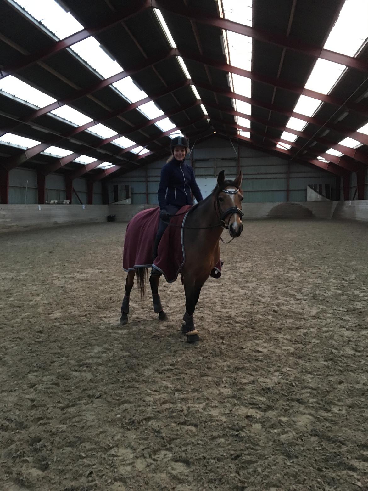 DSP Tl butterfly kiss billede 12