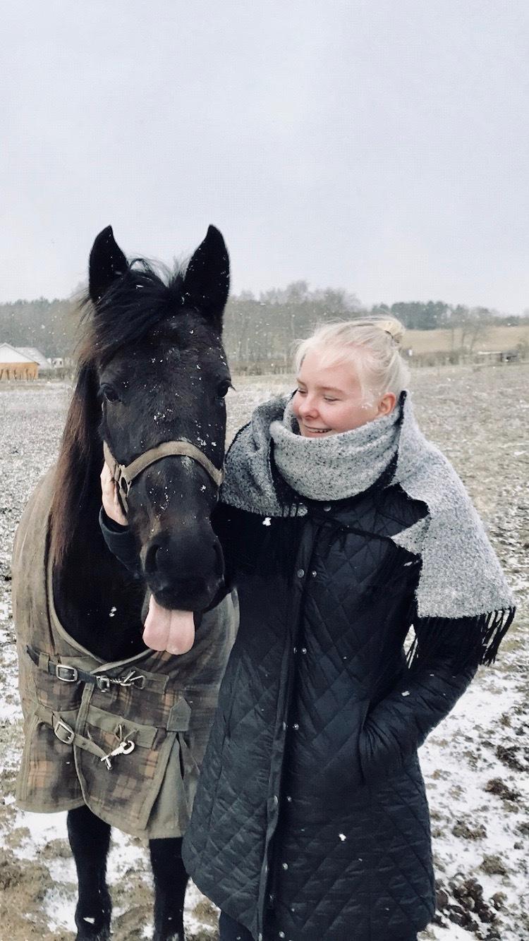 Traver Honey Turbo billede 3