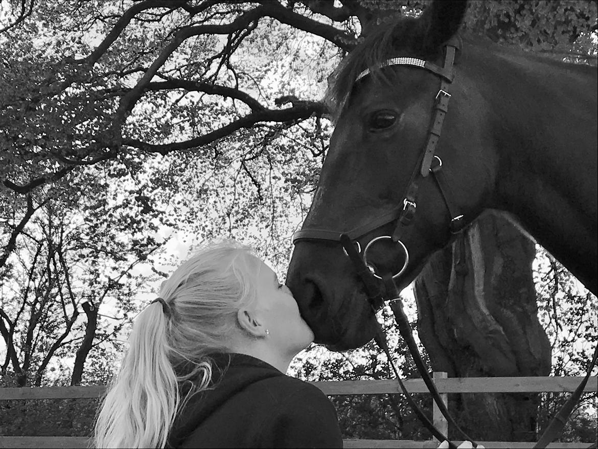 Traver Honey Turbo billede 10